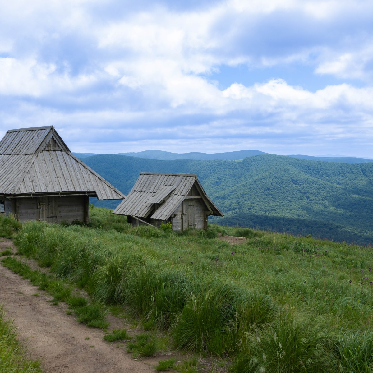 Kde nocovať v Poloninách a nestretnúť&nbsp;medveďa?