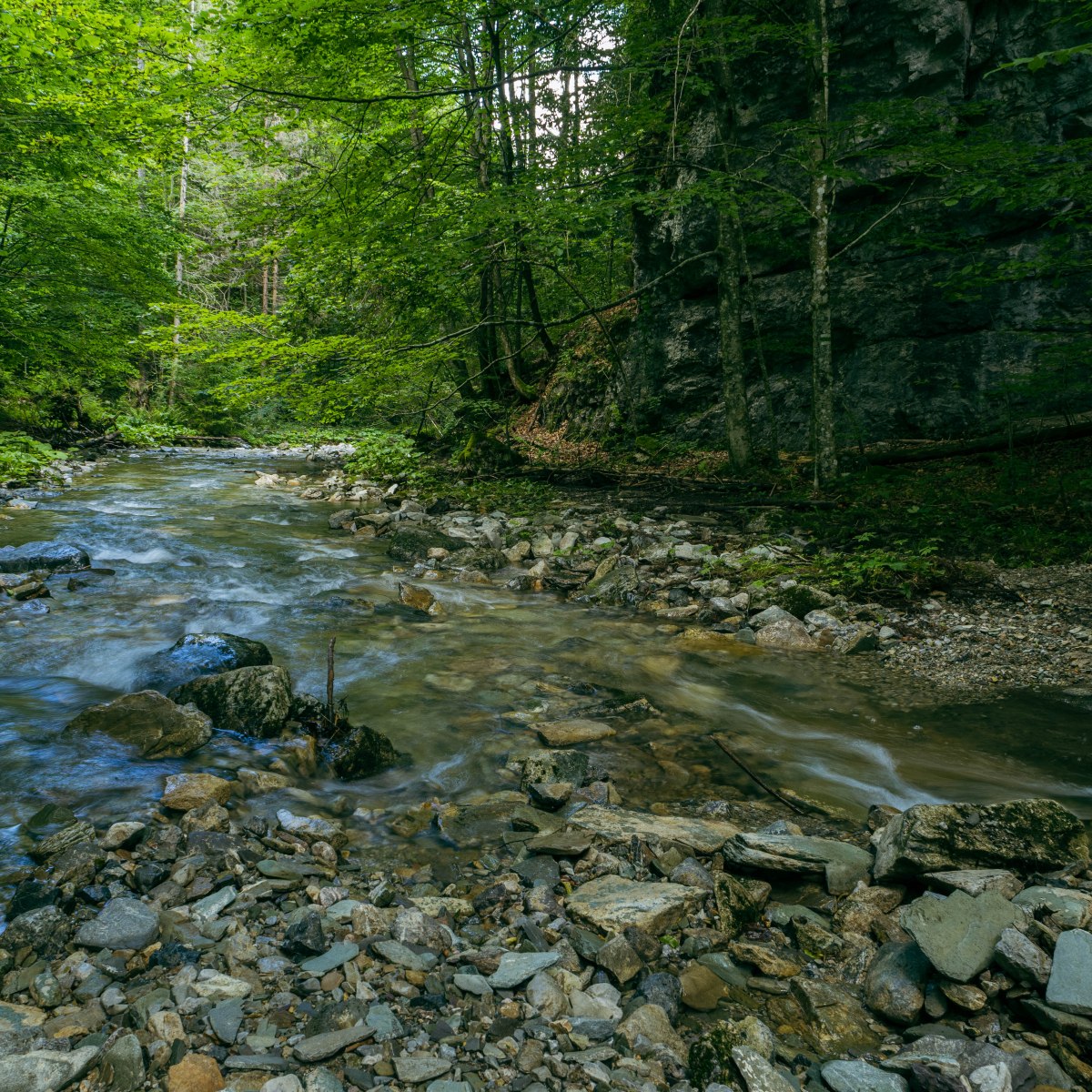 Turistika v Slovenskom&nbsp;raji