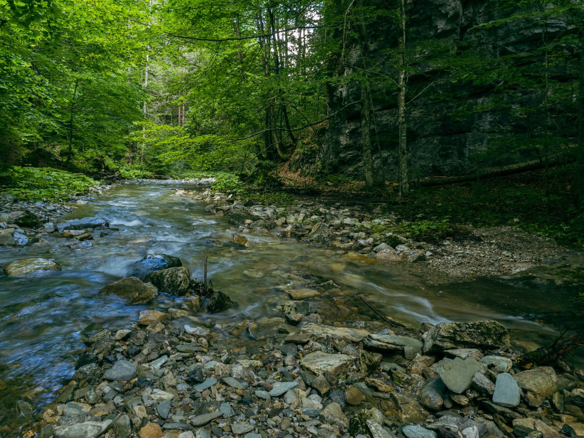 Turistika v Slovenskom&nbsp;raji