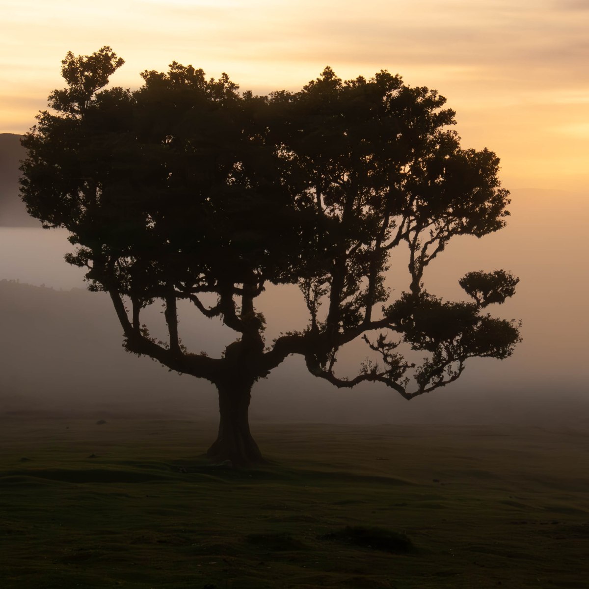 Dovolenka na ostrove&nbsp;Madeira!