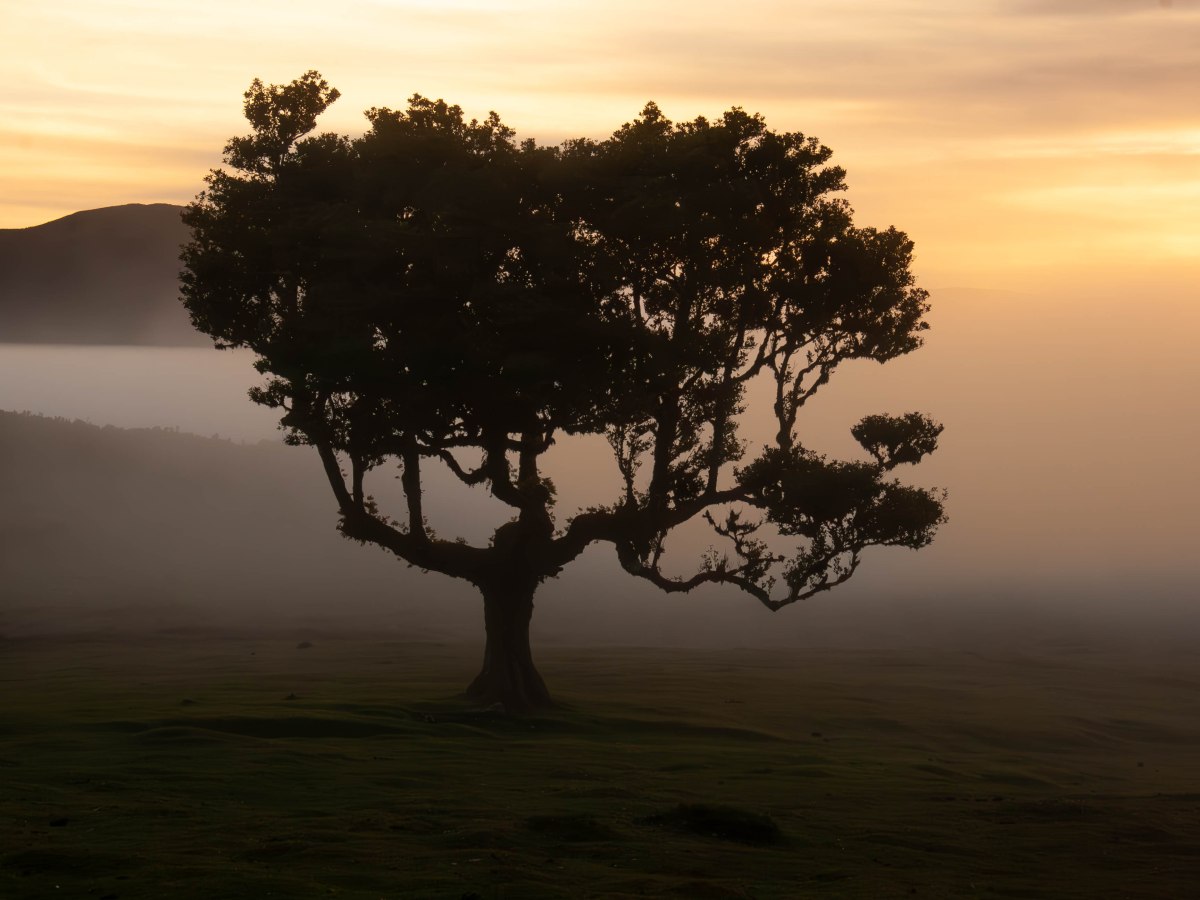 Dovolenka na ostrove&nbsp;Madeira!