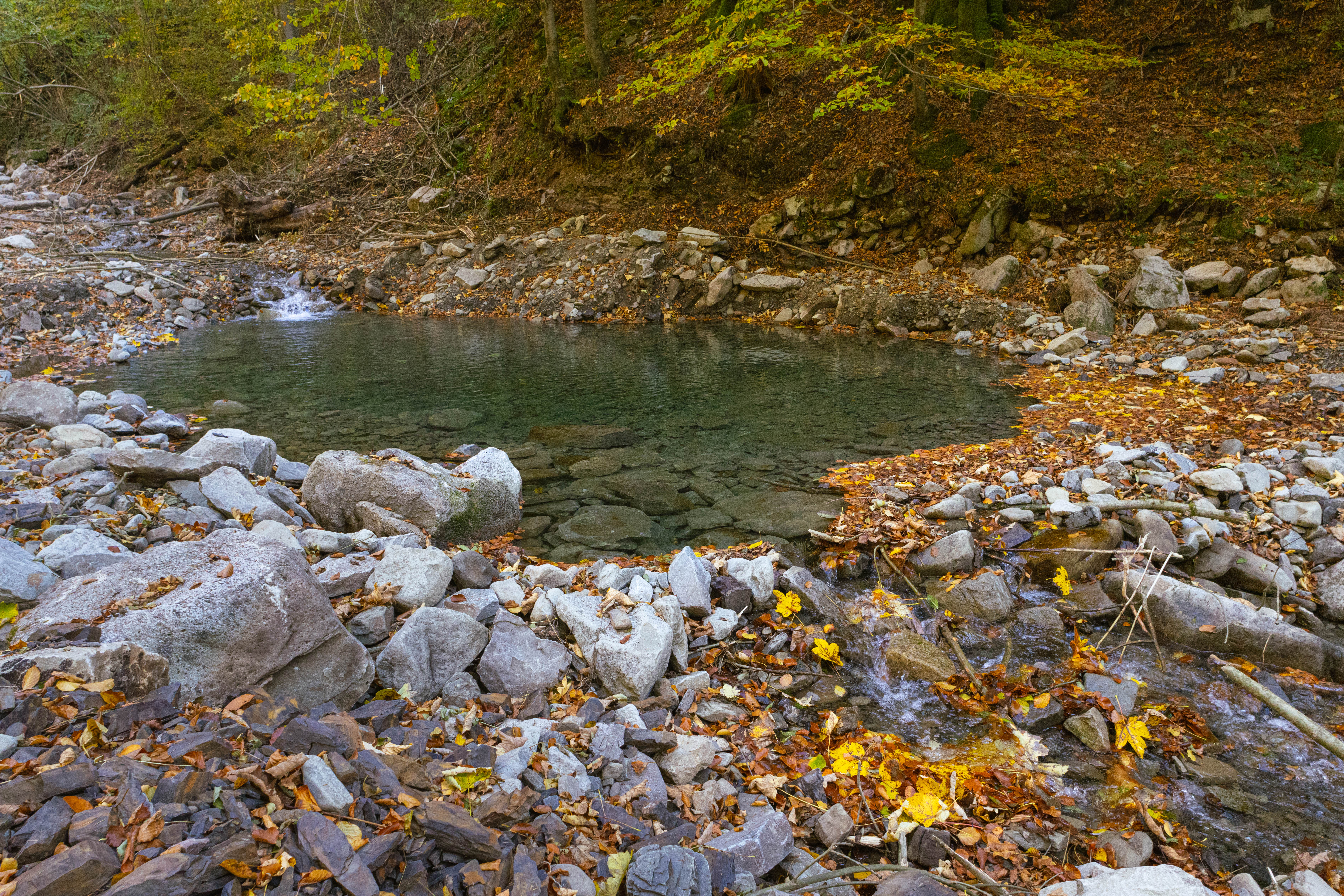 Malé jazierko na zostupe žltou značkou.