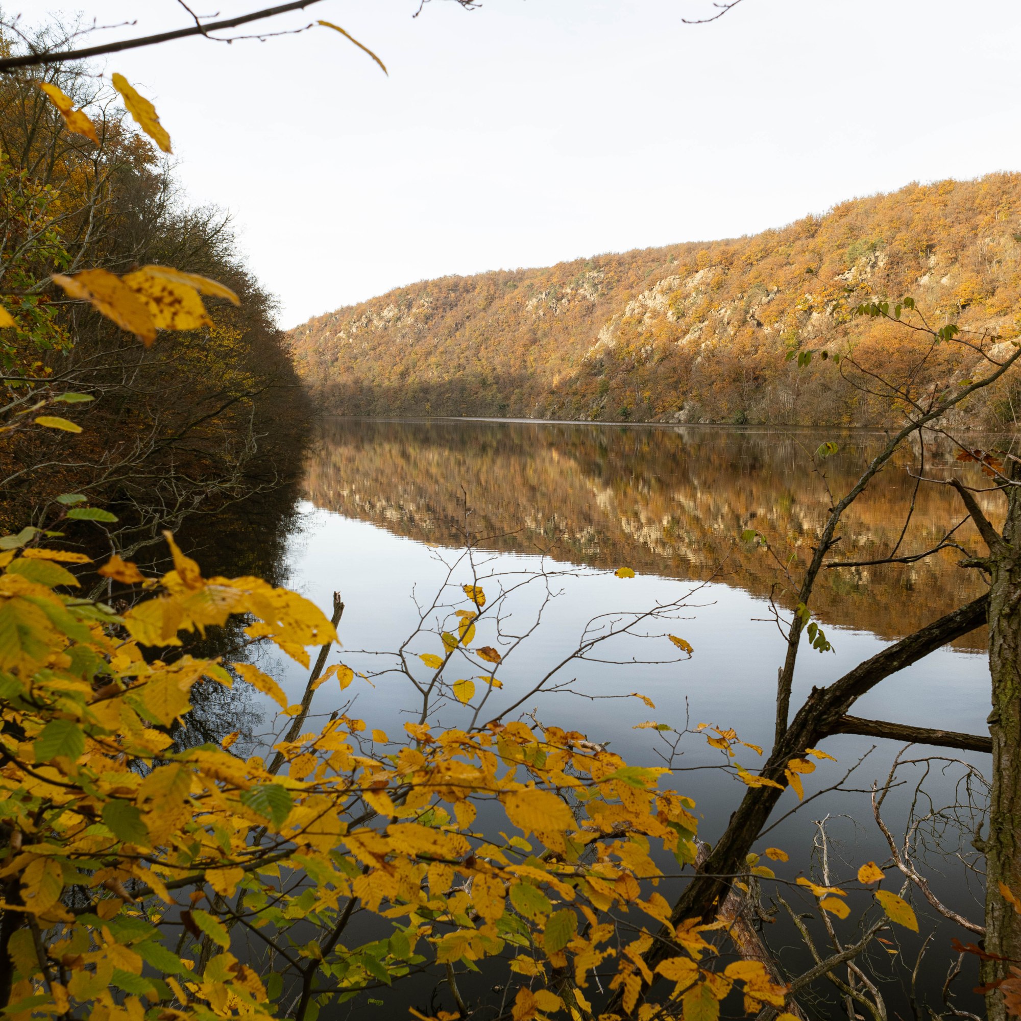 Vodná nádrž, rieka Dyje.
