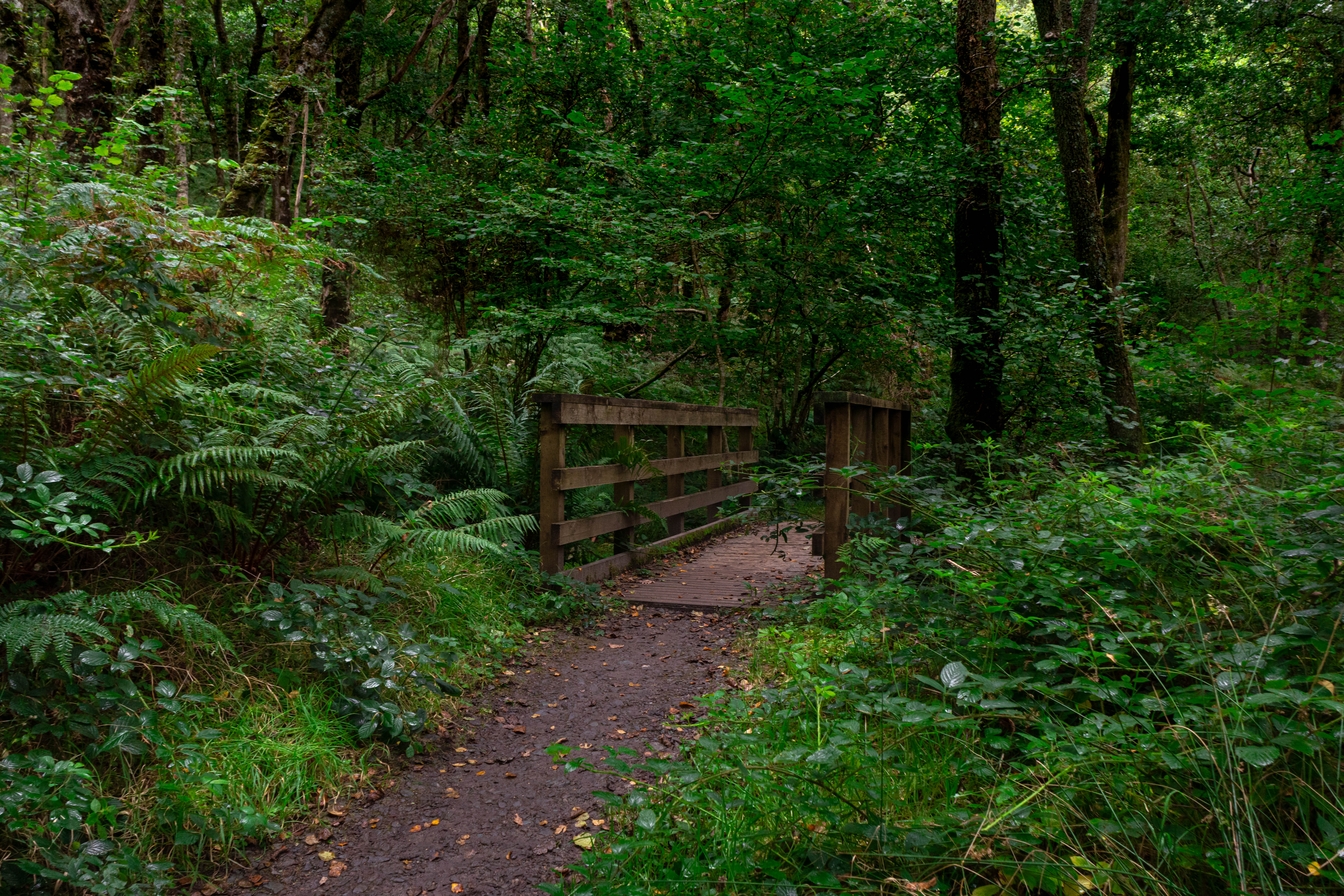 Prechod cez potok po West Highland Way